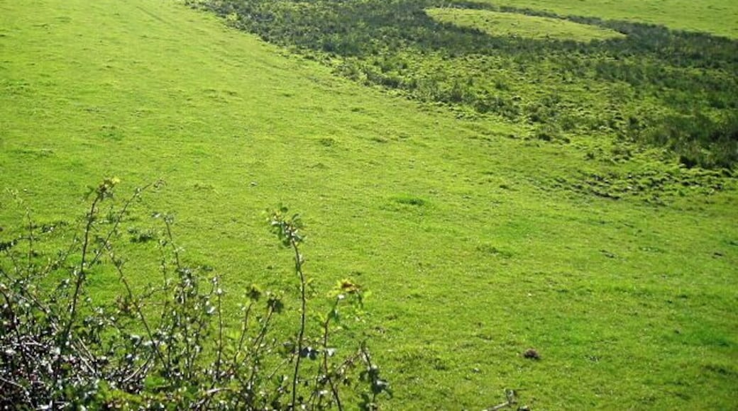 Fields South of Dalton