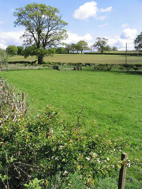 Farmland at Chapelhill