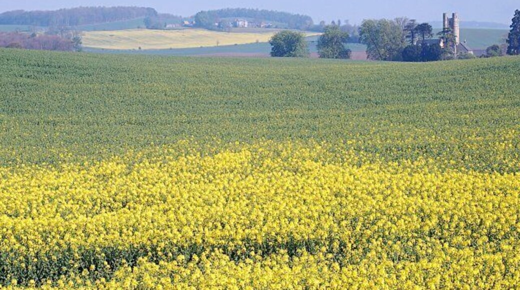 Towards Pilmuir Farmland by Lundin Tower with Pilmuir in the far distance on a hazy morning.