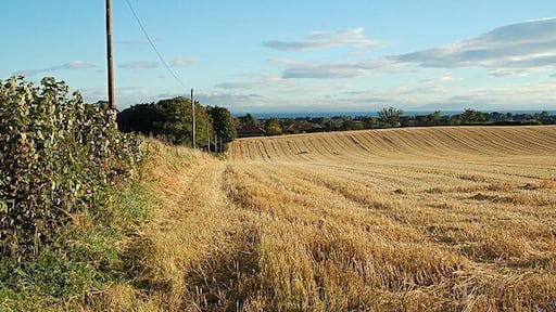 Fields by Lower Largo From just a few yards from the first geograph and 21 months in time.