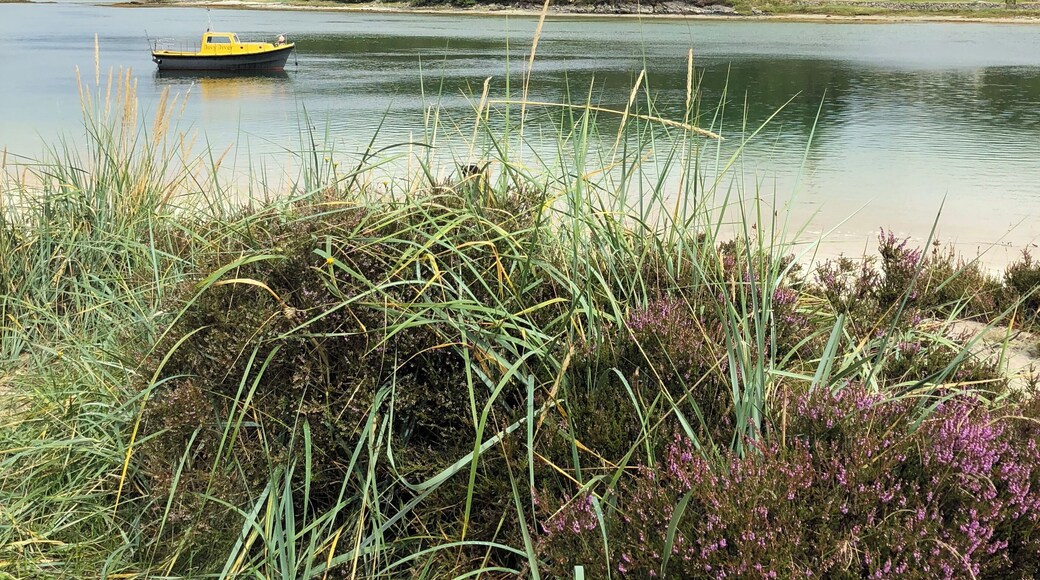 Beautiful location, well worth the trip.