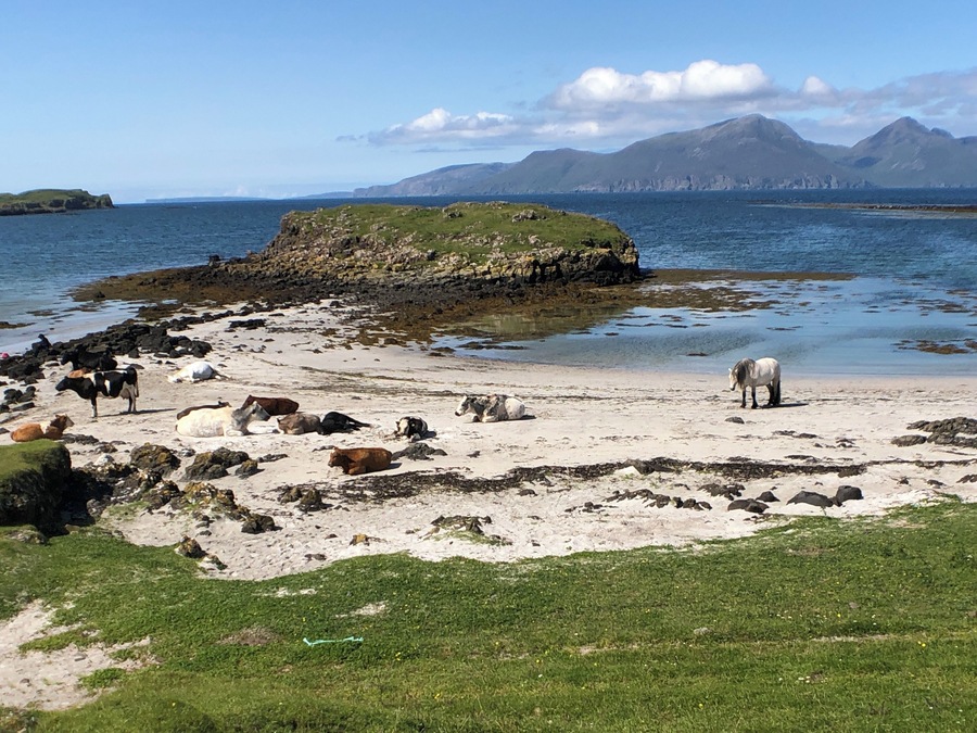 A lovely white sand beach on the Isle of Muck.
#lifeatexpedia #scotland #adventure
