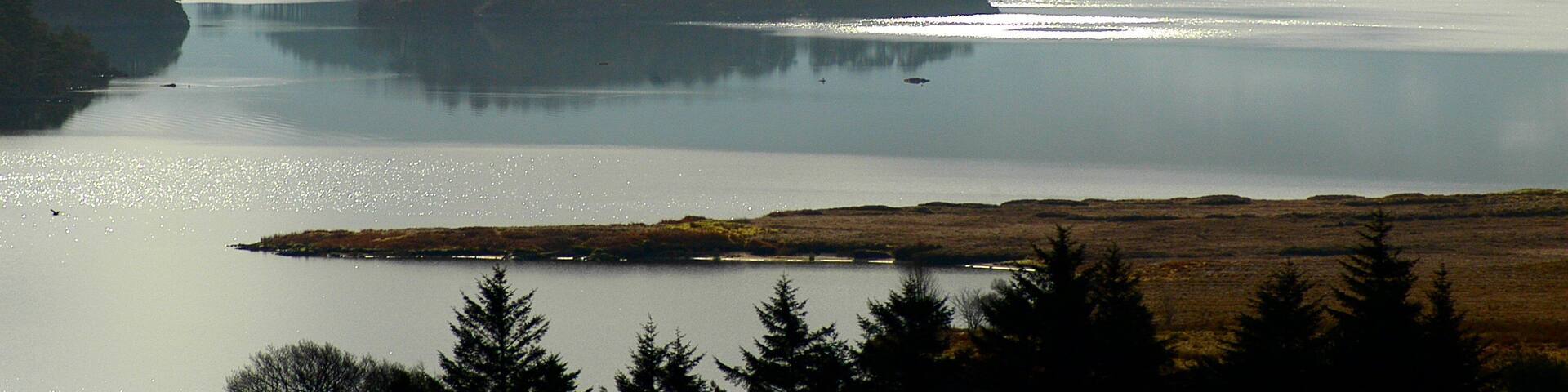 A calm lake with a small island in the center, surrounded by mountains and trees.