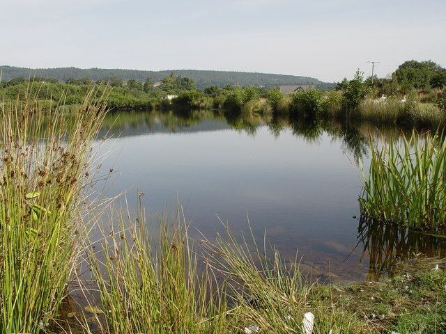 Orrin Trout Fishery