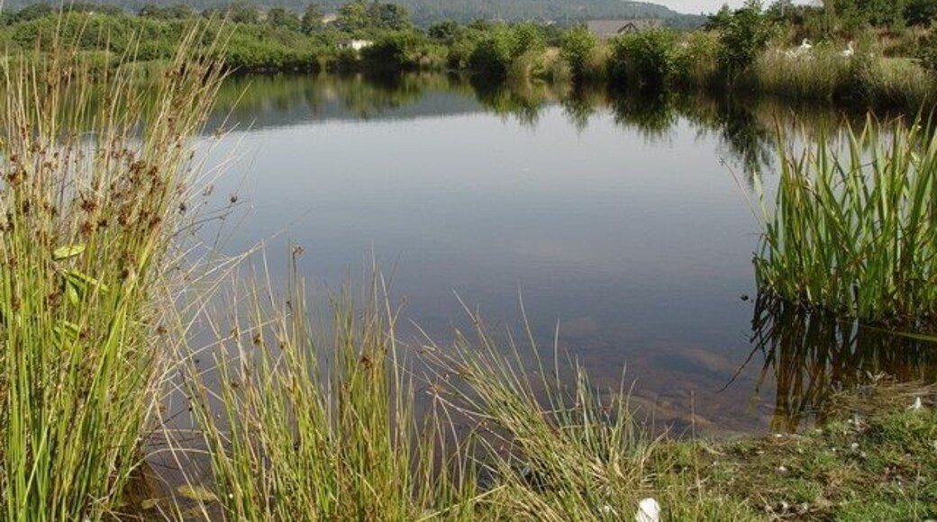 Orrin Trout Fishery