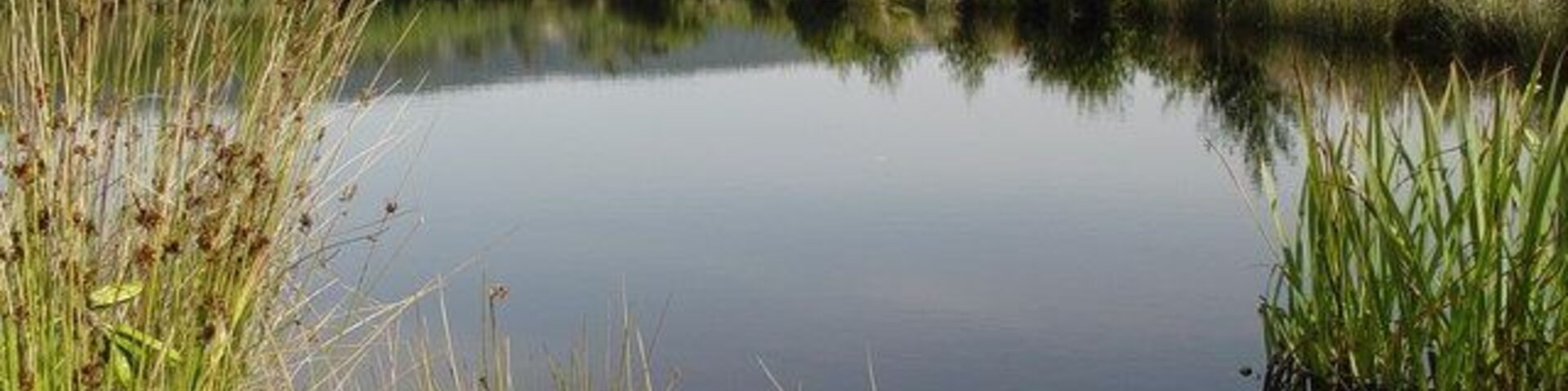 Orrin Trout Fishery