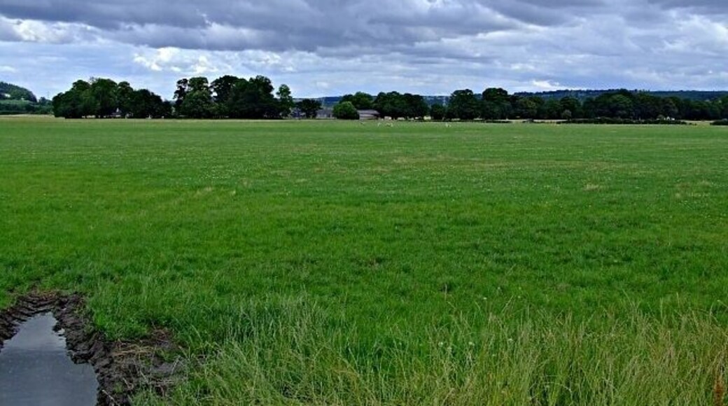 Farmland near Urray. Taken from the road.