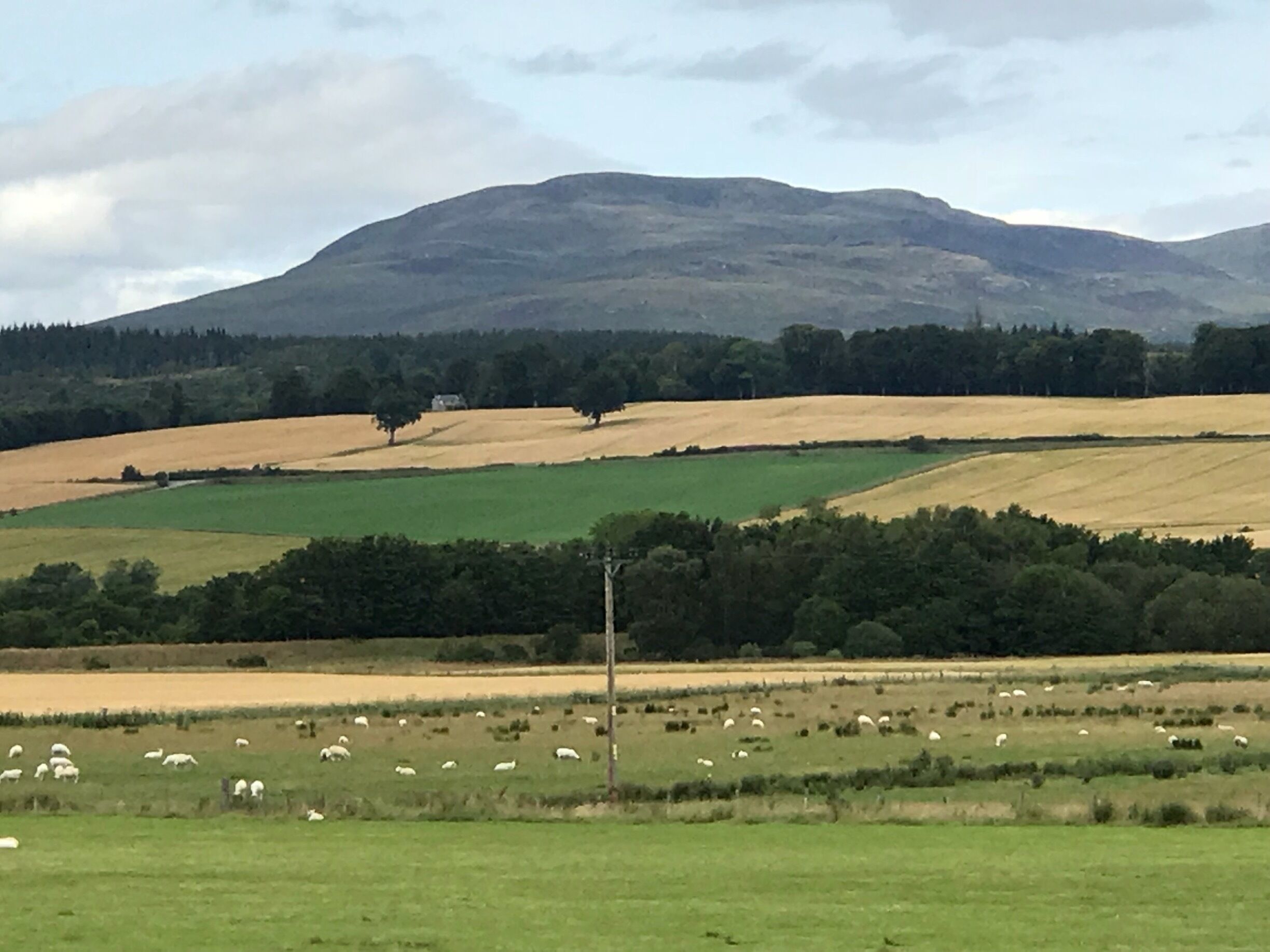 Marybank in the Scottish Highlands. As you drive out of this small village heading to Contin, you are met with the most stunning scenery. Almost completely surrounded by mountains.