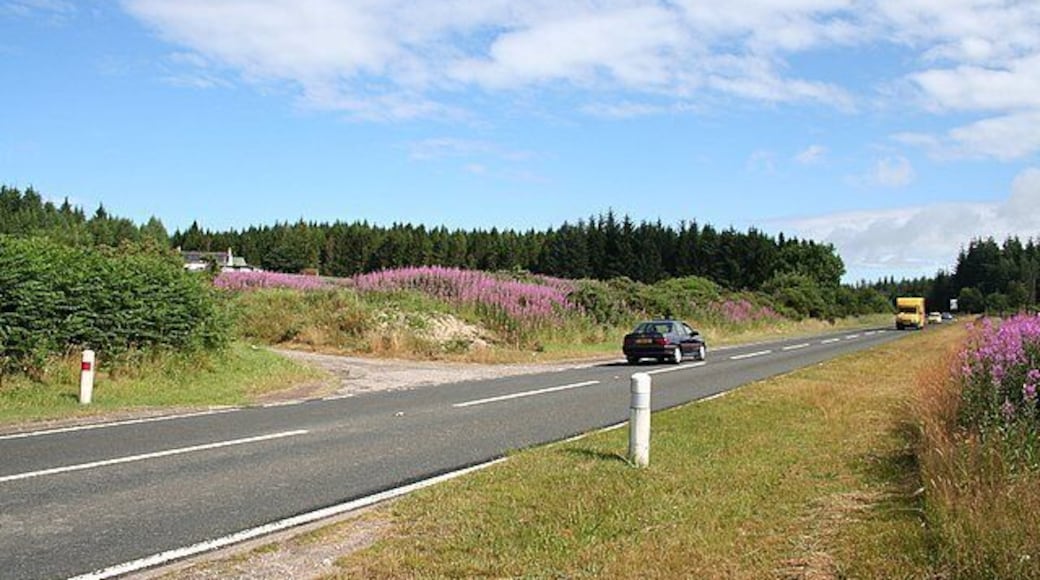 Torepark Farm can be seen to the left in the trees. The main road leading up the hill is the A9.