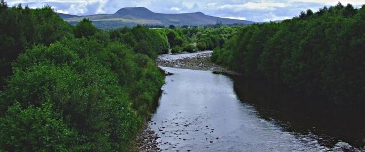 A river flowing through a forested valley with hills in the background.
