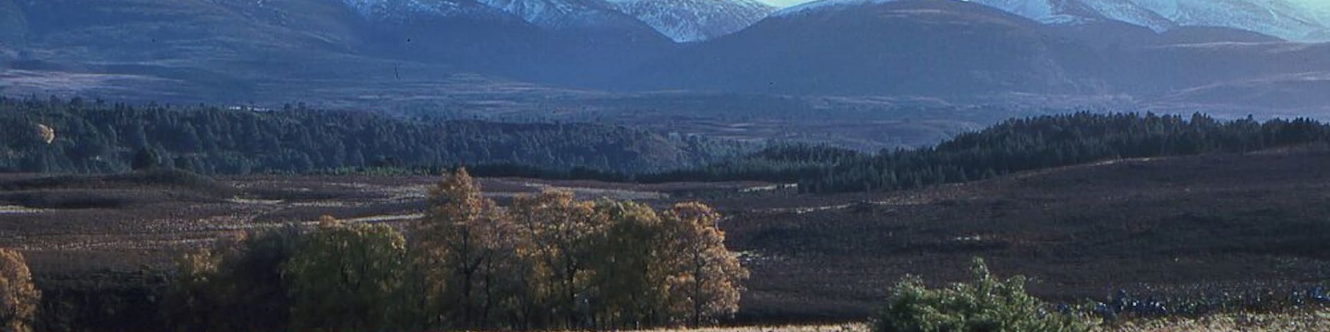 View towards the Cairngorms, from Rynettin With, in the distance, Bynack More on the left, Cairngorm on the right, and Strath Nethy in between.