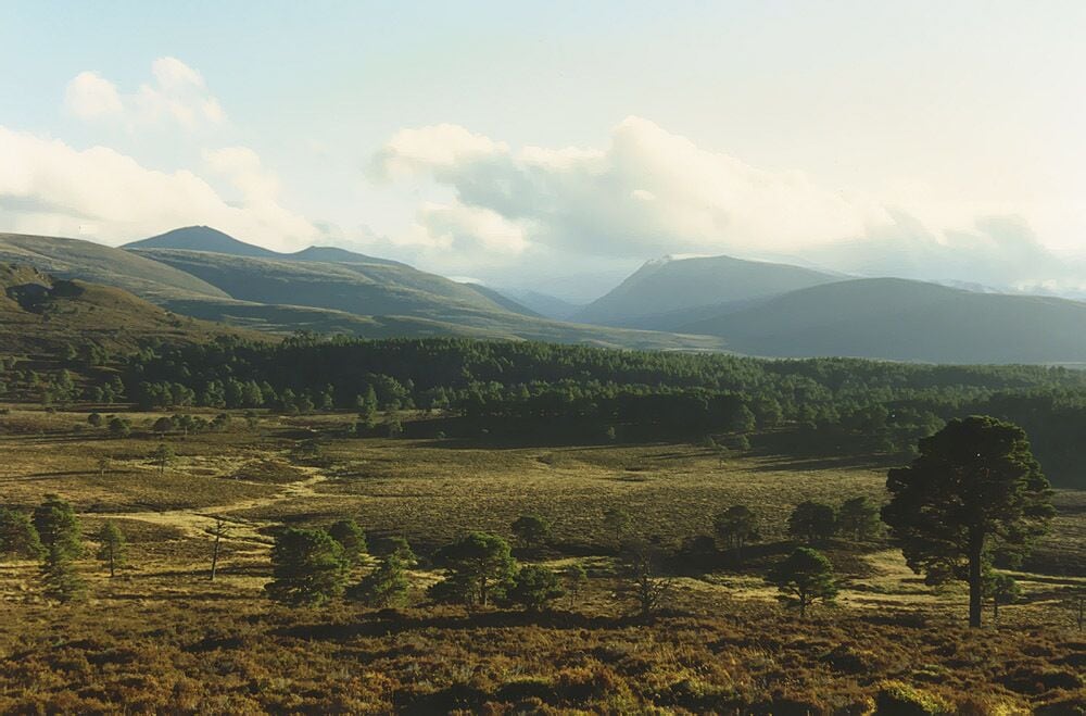Rolling hills, a forested area, and a clear sky.