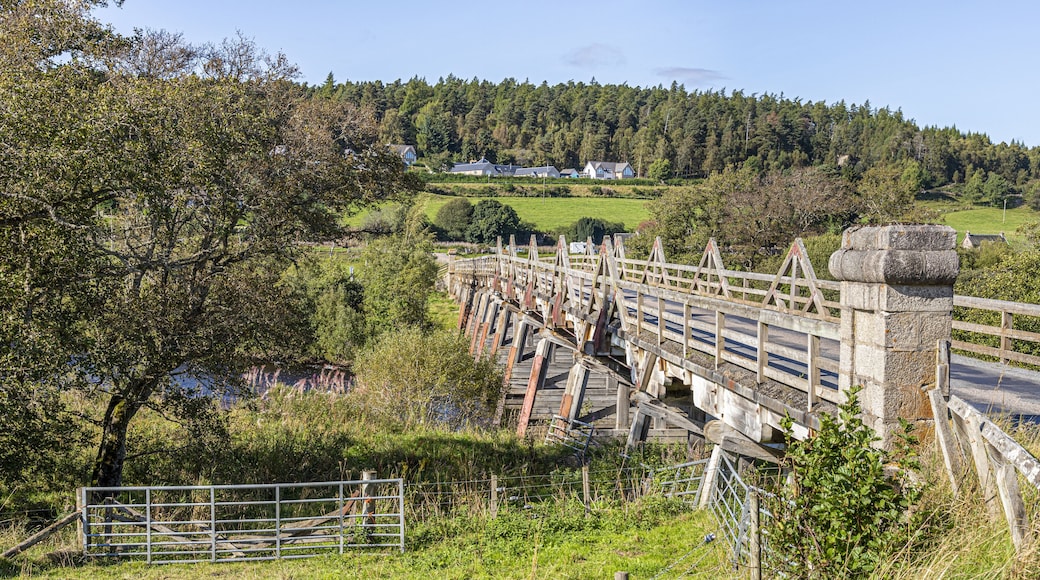 Nethy Bridge