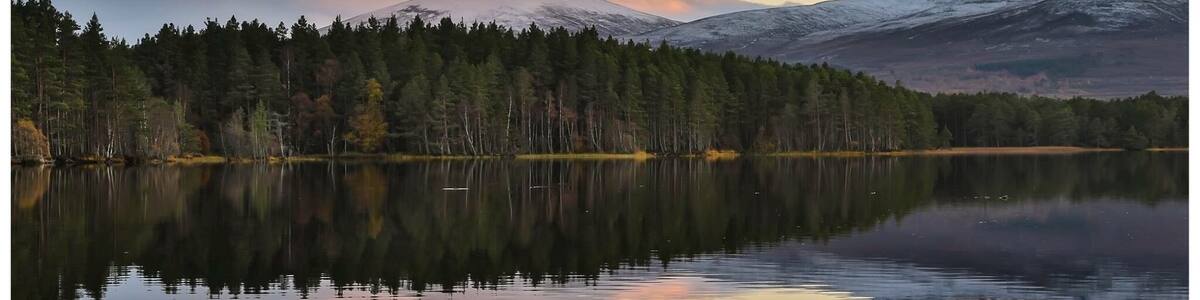 Ein ruhiger See, der Bäume und Berge bei Sonnenuntergang spiegelt.