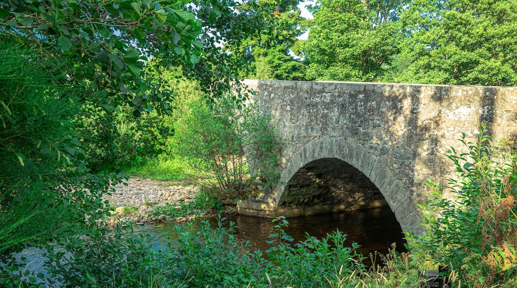 Nethy Bridge