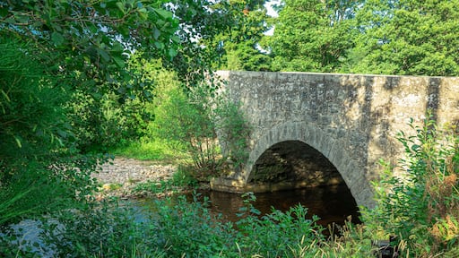 Nethy Bridge