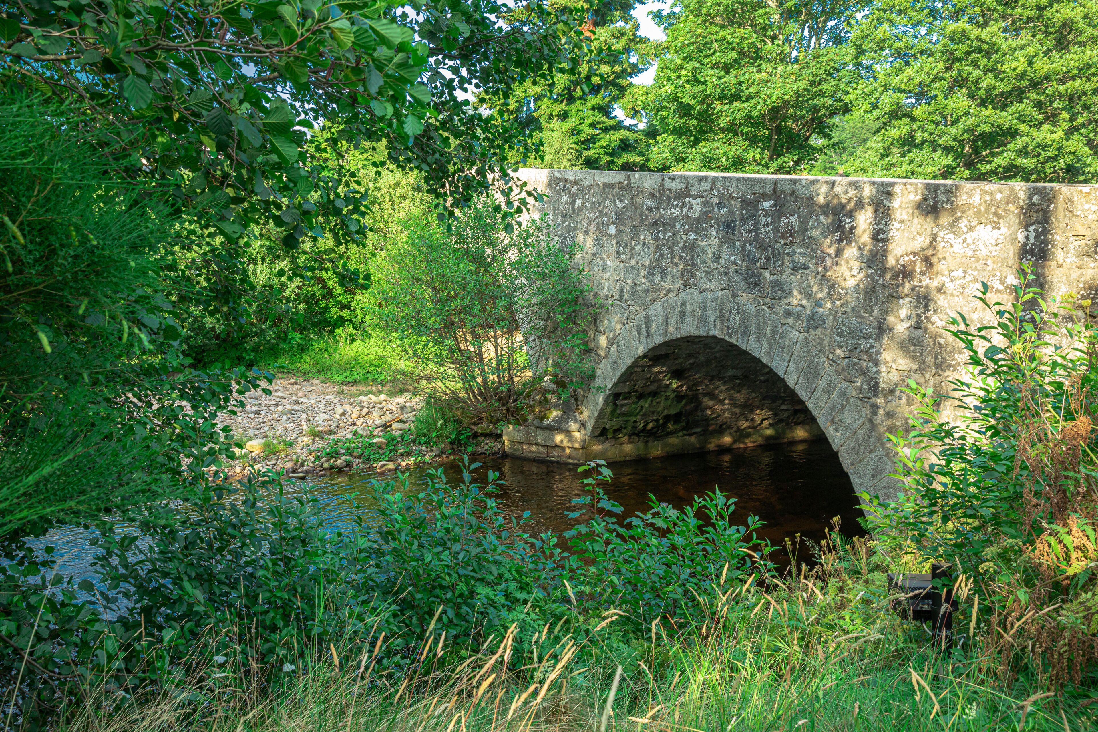 A stone bridge over a stream surrounded by lush greenery.