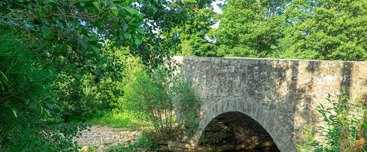 A stone bridge over a stream surrounded by lush greenery.