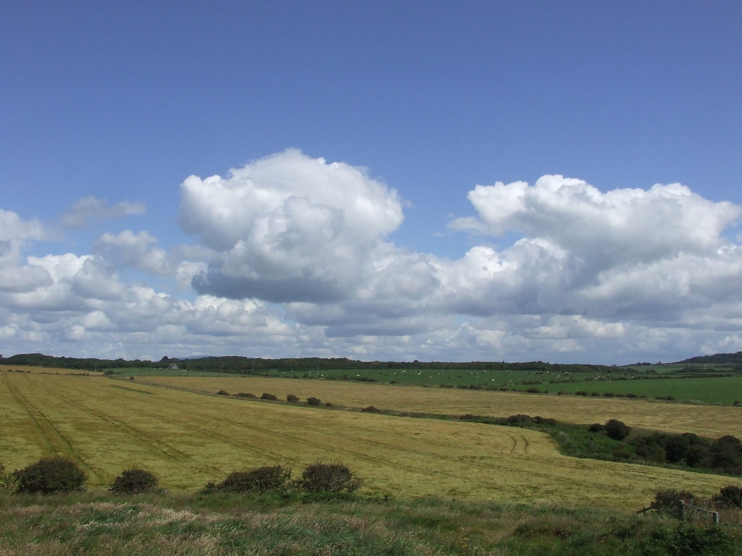 The view east from the fort