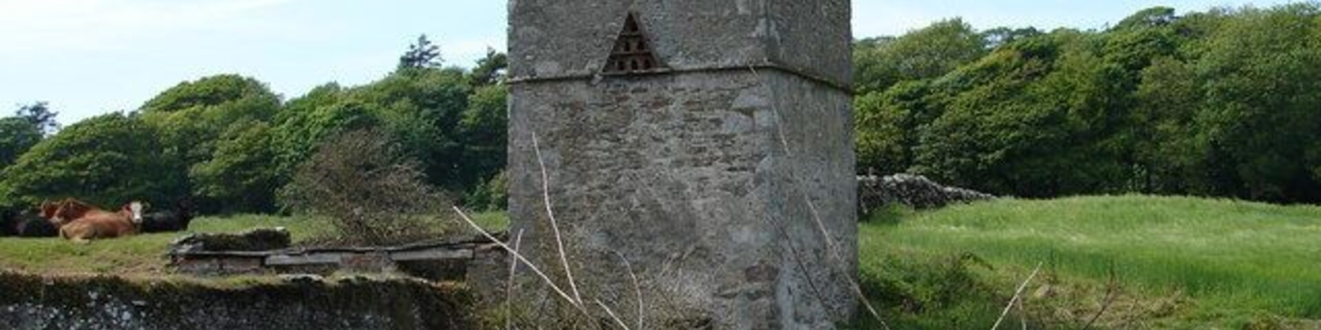 Uma torre de pedra em um campo gramado com árvores ao fundo.