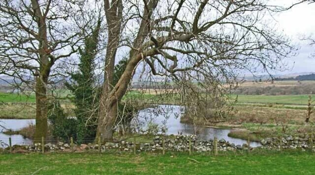 The River Cree at Challoch.