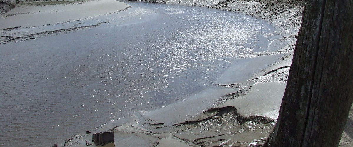 A muddy riverbank with a wooden structure in the foreground.
