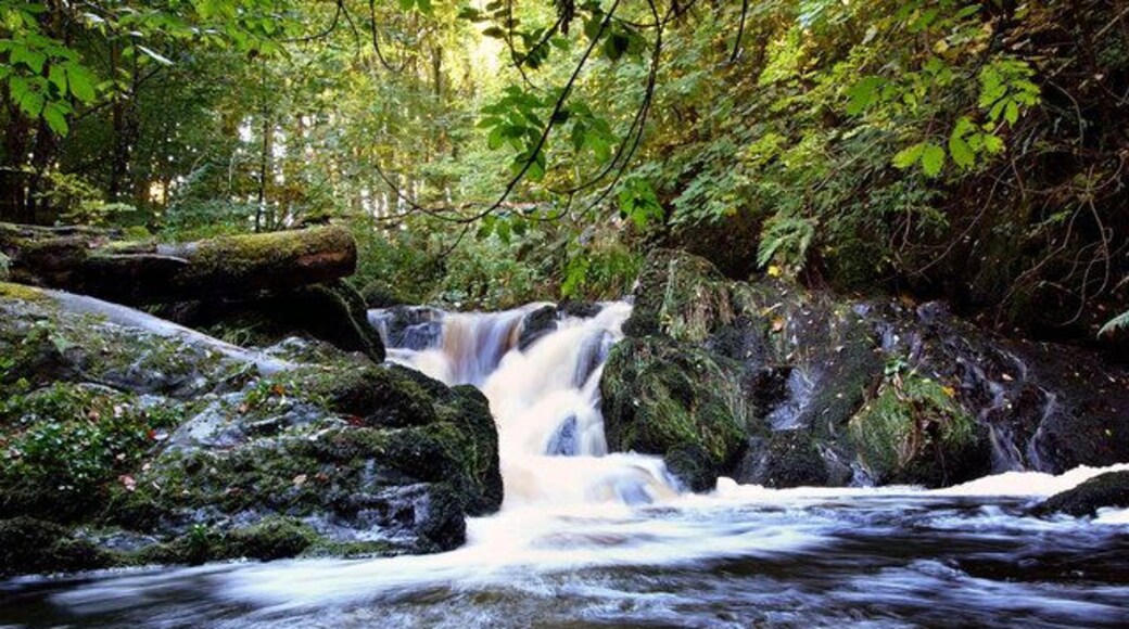 The Pot This is a pool on the Lady Burn in Balkail Glen well known locally as a place for catching sea trout during an autumn spate.