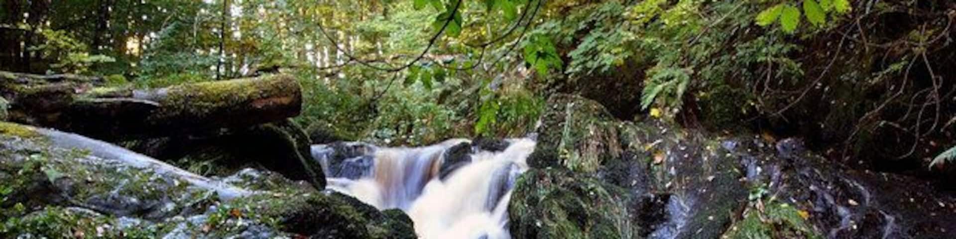 The Pot This is a pool on the Lady Burn in Balkail Glen well known locally as a place for catching sea trout during an autumn spate.