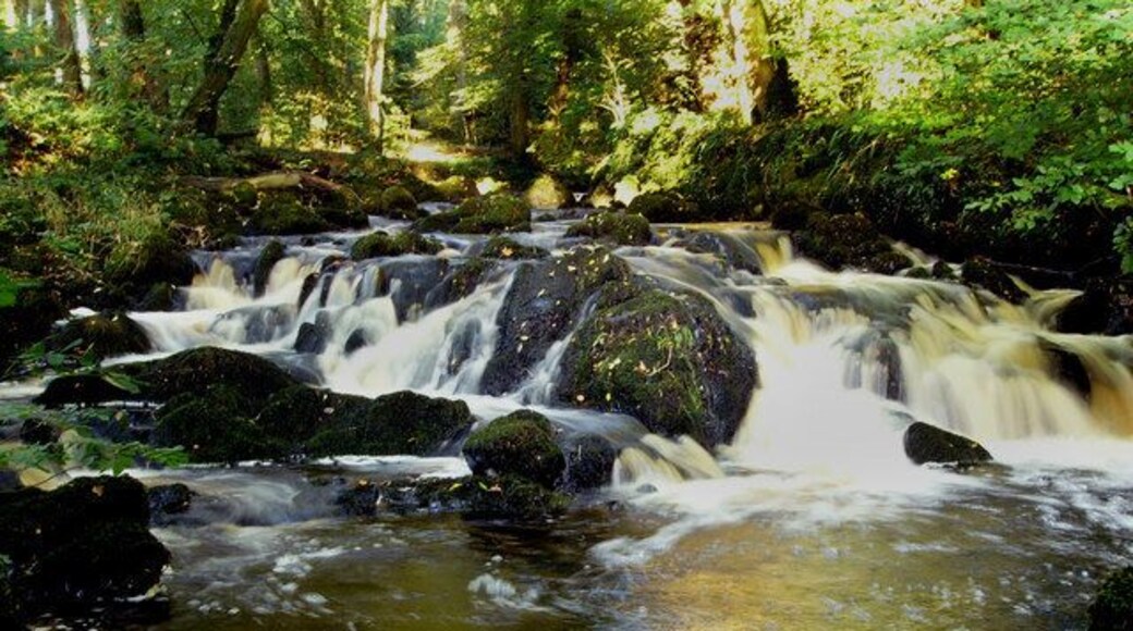 The Lady Burn The Lady Burn, seen here in Balkail Glen, is a tributary of the River Luce. The name has been assumed to be a dedication to 'Our Lady' - the virgin mary. However it could also be a corruption of 'lade burn' as it was the main power source for a lintmill situated about half a mile upstream from here.