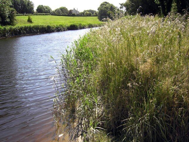 River Bladnoch Looking upriver from the Bladnoch Distillery Gardens.