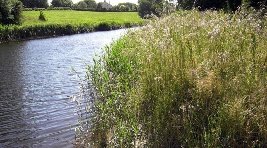 River Bladnoch Looking upriver from the Bladnoch Distillery Gardens.