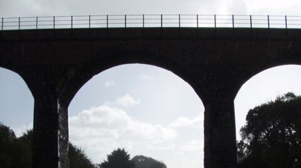 Glenluce Viaduct The viaduct used to carry the "Port Road" - the railway from Dumfries to Stranraer, closed under the Beeching cuts of the early 1960's.