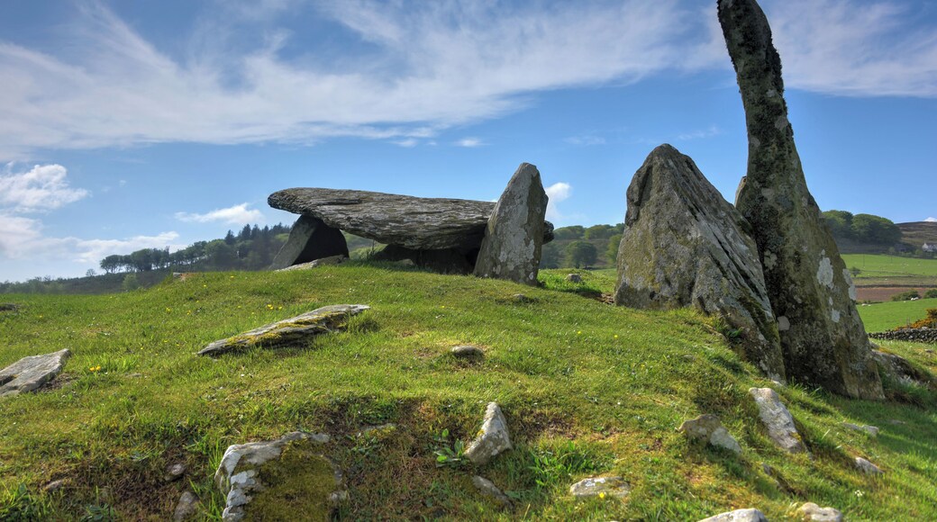 The remains of a Neolithic tomb in Galloway.