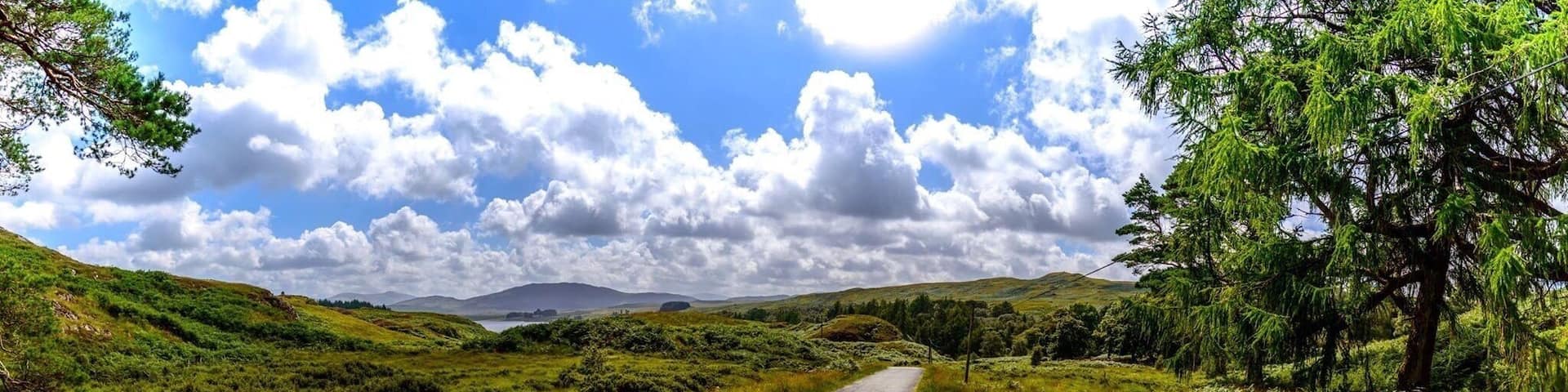 Galloway forest near loch doon.