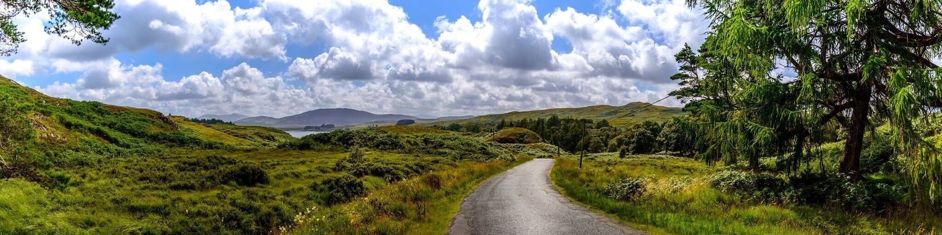 Galloway forest near loch doon.