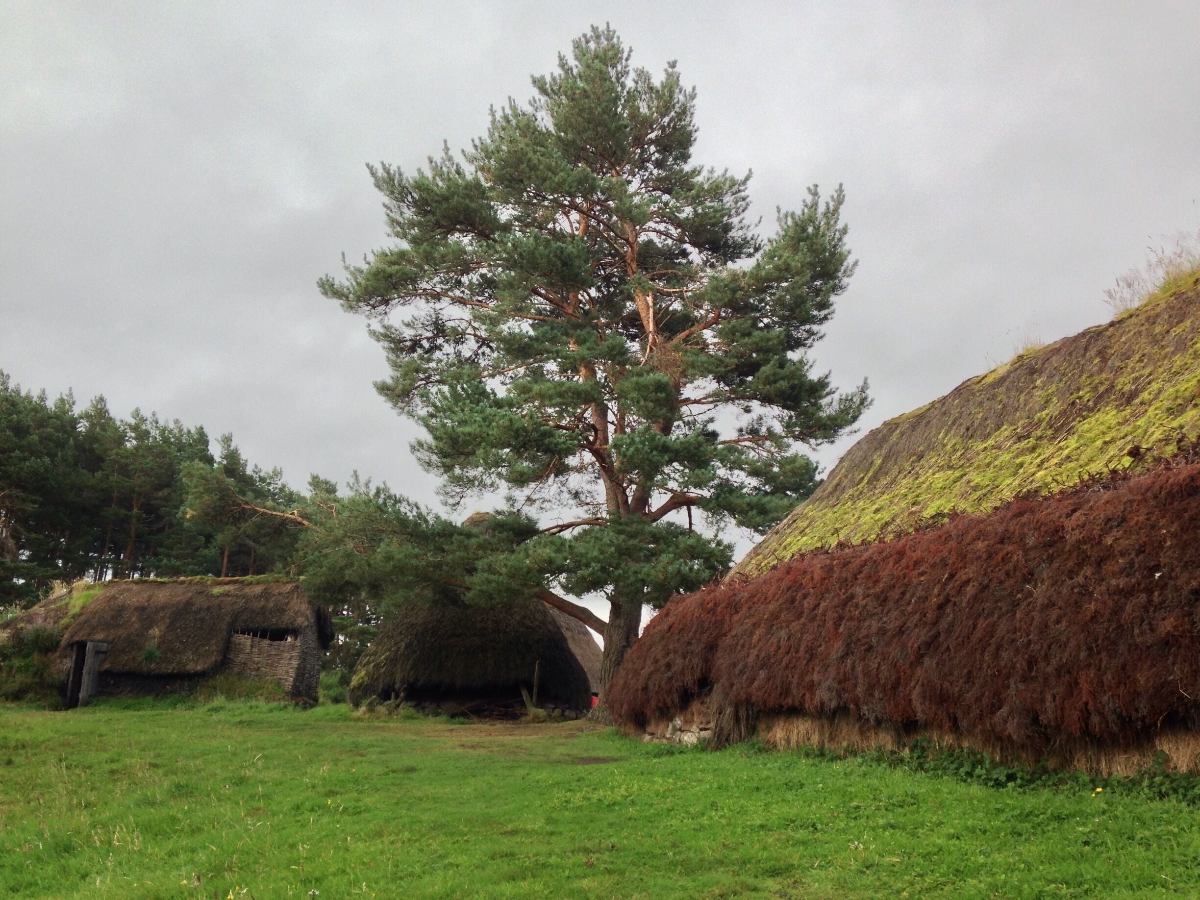"Where History comes to Life" the wee folk museum is a fantastic day spent walking round glimpses of Scotland's past. From School houses to 17th century houses (featured) The best part is it's free, that's right FREE all donations are of course welcome and the opening times are seasonal. Check out their website https://www.highlifehighland.com/highlandfolkmuseum/