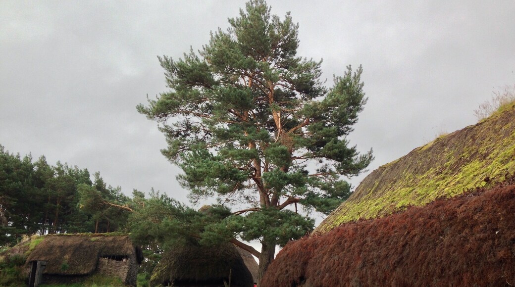 "Where History comes to Life" the wee folk museum is a fantastic day spent walking round glimpses of Scotland's past. From School houses to 17th century houses (featured) The best part is it's free, that's right FREE all donations are of course welcome and the opening times are seasonal. Check out their website https://www.highlifehighland.com/highlandfolkmuseum/