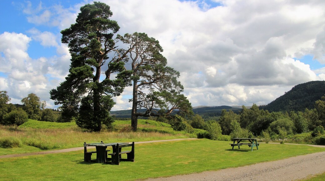 In the Creag Meagaidh National Nature Reserve, between Newtonmore and Spean Bridge. Central Highlands of Scotland, UK, Europe.