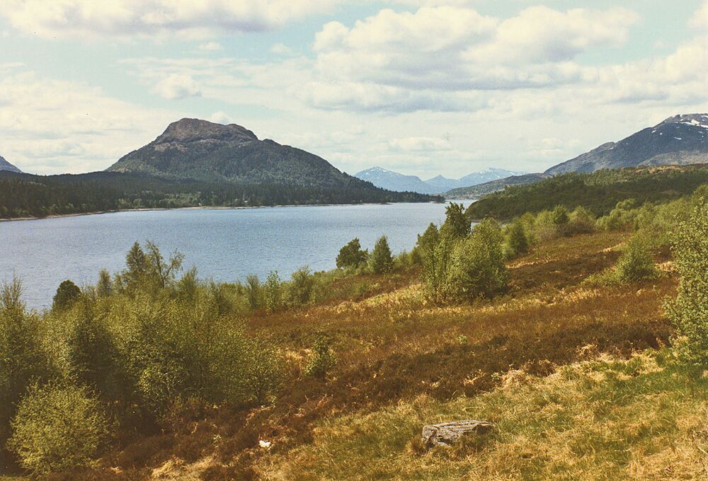 Loch Laggan