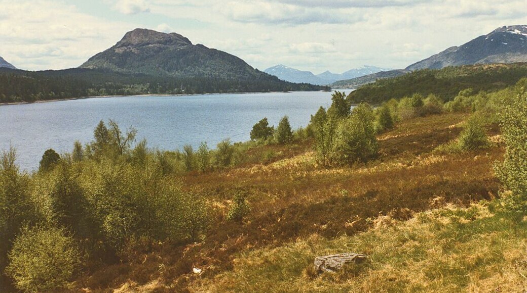 Loch Laggan