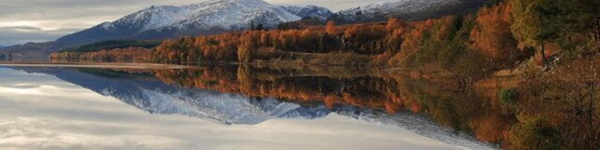 Reflection of trees, Loch Laggan .