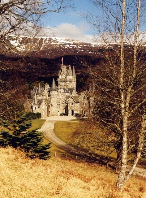 A large stone castle with multiple towers, surrounded by a forest and a mountainous backdrop.