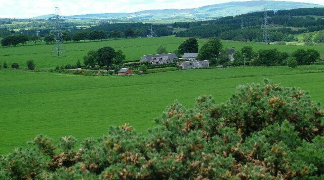 Pitbee from Main Road.