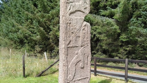 Maiden Stone, Aberdeenshire, Scotland
Pictish stone monument dating to the 9th century.