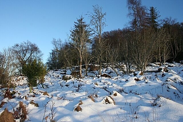 Maiden Castle Strictly speaking, Maiden Castle is the ancient earthwork, almost impossible to photograph, hidden among the trees at the top of the slope. This view would have shown the path to it if it had not been blanketed in snow. In the middle of the scene, just behind the sunlit silver birches, is an outcrop of brecciated rock which marks the eastern boundary of the Bennachie Granite.