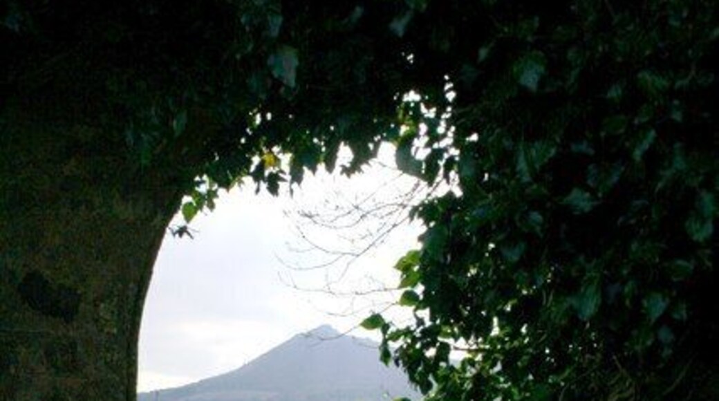 Laird's Gate The 17th century Laird's Gate at Chapel O Garioch with a view to the Mither Tap of Bennachie.