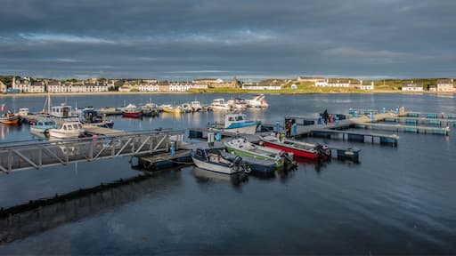 Port Ellen on Islay, Scotland. It's a town on the southern coast of Islay. It's location could be described as a bay within a bay.
It's a small town with three pubs, only one of which is worth visiting as it's been recently renovated. There are plenty of accommodation houses and a very pretty harbour. Early mornings are busy as boats are made ready for the days adventures or work.
As many visitors come to Islay without a means of personal transport the local council, with added funds from each distilleries, has built a sealed pathway beside the road to the nearby Laphroaig, Lagavulin and Ardbeg distilleries.
