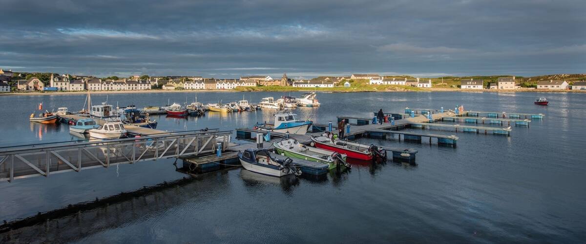 A harbor with various boats docked, a pier, and buildings in the background.