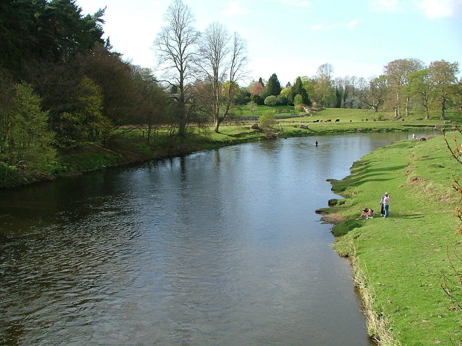 A river flowing through a green landscape with trees and a grassy area.