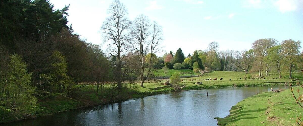 A river flowing through a green landscape with trees and a grassy area.